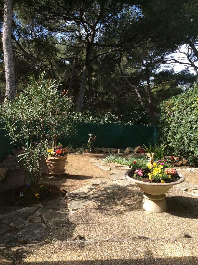 T2 Rez de jardin 300m Plage de Beaucours Sanary sur Mer Extérieur photo