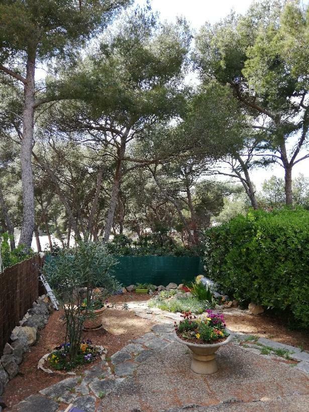 T2 Rez de jardin 300m Plage de Beaucours Sanary sur Mer Extérieur photo